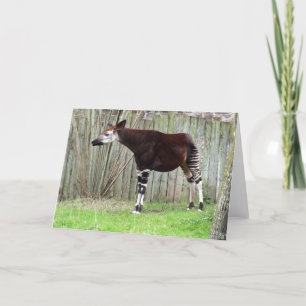 Okapi står i stängsel helgkort