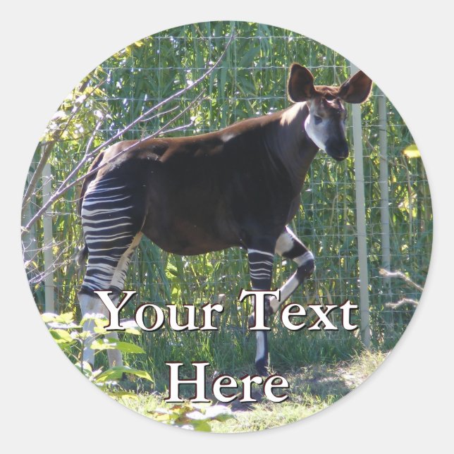 Okapi Stickers Runt Klistermärke (Framsida)
