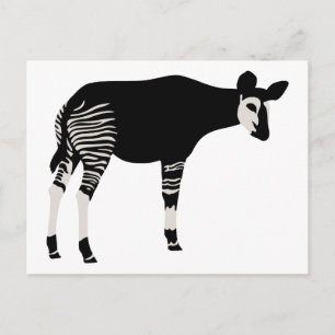 Okapi Vykort