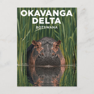Okavanga Delta Botswana Flodhäst Vilda Djur Resor Vykort