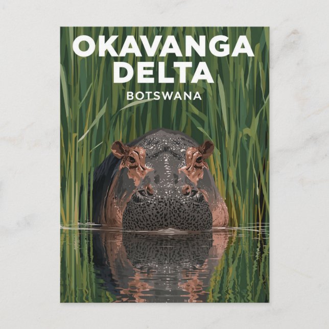 Okavanga Delta Botswana Hippo Wildlife Travel Vykort (Framsida)