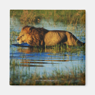 Okavango Delta, Botswana 3 Magnet