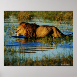 Okavango Delta, Botswana 3 Poster