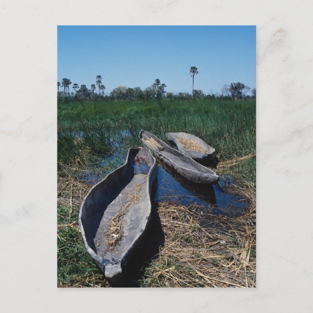 Okavango Delta, Botswana Vykort (Framsida)