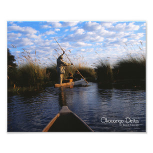 Okavango Delta Fototryck
