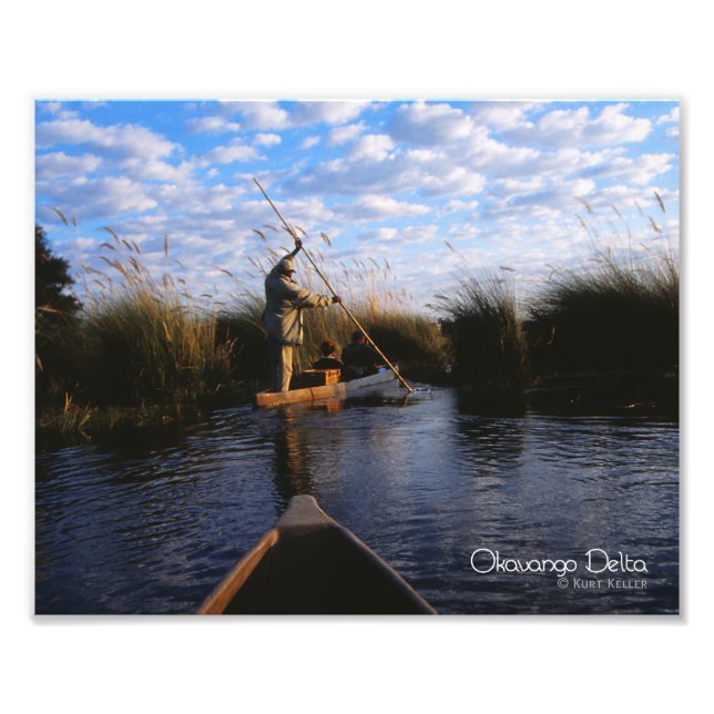 Okavango Delta Fototryck (Framsidan)