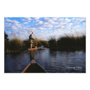 Okavango Delta Fototryck