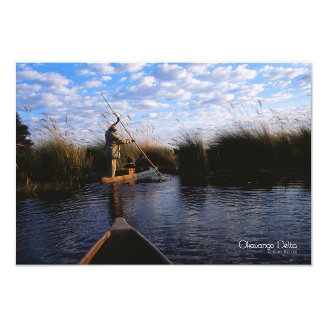 Okavango Delta Fototryck (Framsidan)