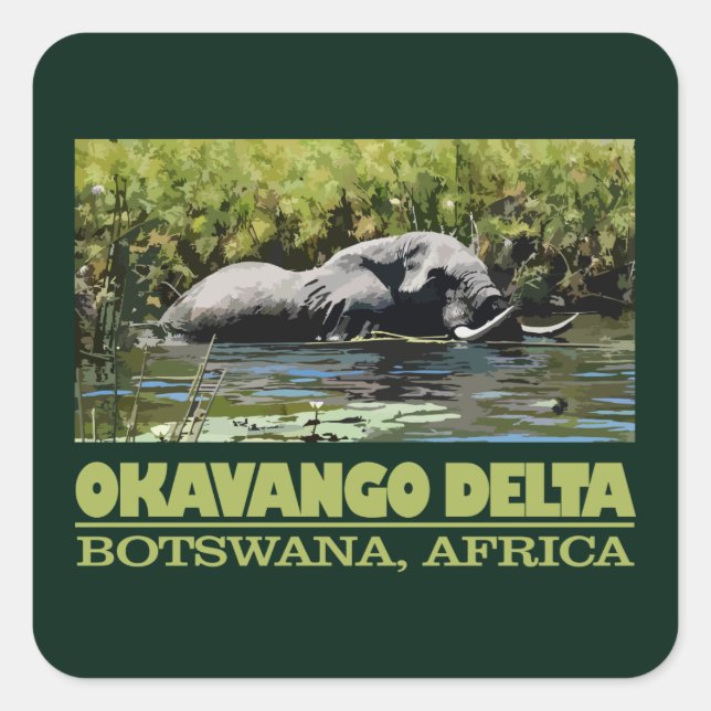 Okavango Delta Fyrkantigt Klistermärke (Framsida)