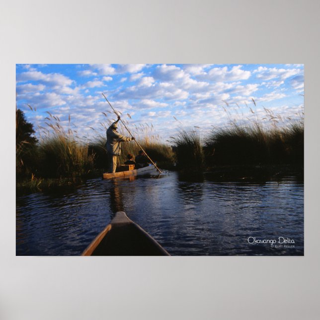 Okavango Delta Photo Poster (Framsidan)