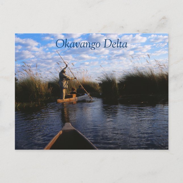 Okavango Delta Travel-vykort Vykort (Framsida)
