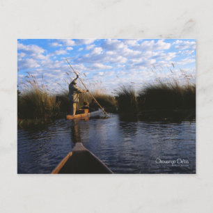 Okavango Delta vykort