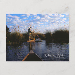 Okavango Delta Vykort