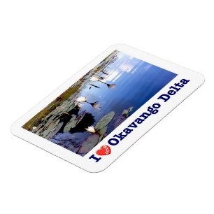 Okavango Vatten Lillies - Magnet