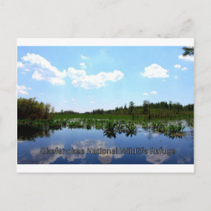 Okefenokee National Wildlife Refuge Vykort