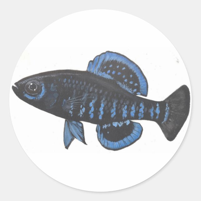Okefenokee pygmy sunfish Sticker Runt Klistermärke (Framsida)