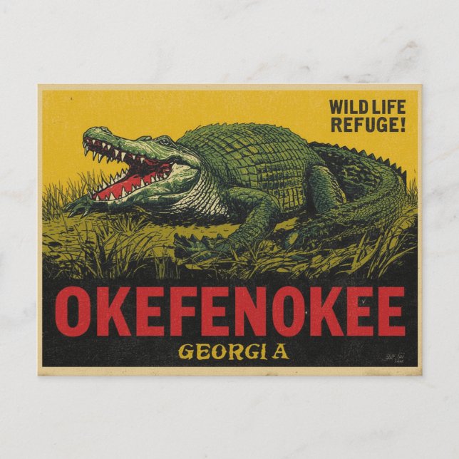 Okefenokee Swamp Alligator Georgia Vykort (Framsida)