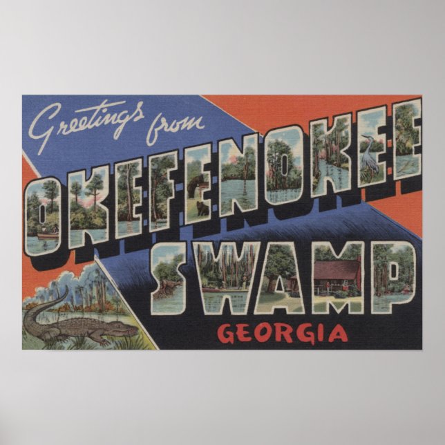 Okefenokee Swamp, Georgia - Large Brev Scenes Poster (Framsidan)
