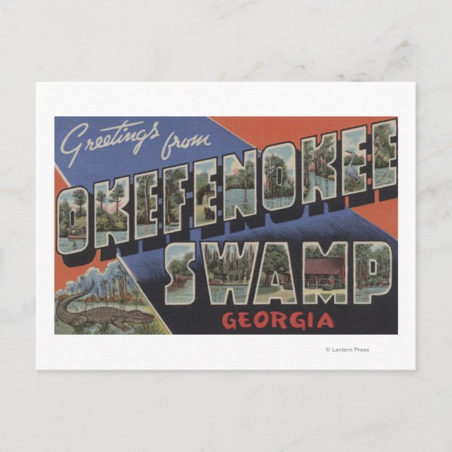 Okefenokee Swamp, Georgia - Large Brev Scenes Vykort (Framsida)