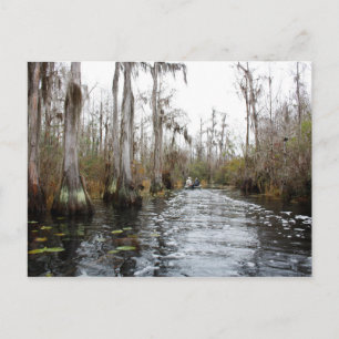 Okefenokee Swamp, Georgien Vykort
