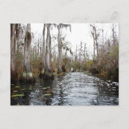Okefenokee Swamp, Georgien Vykort