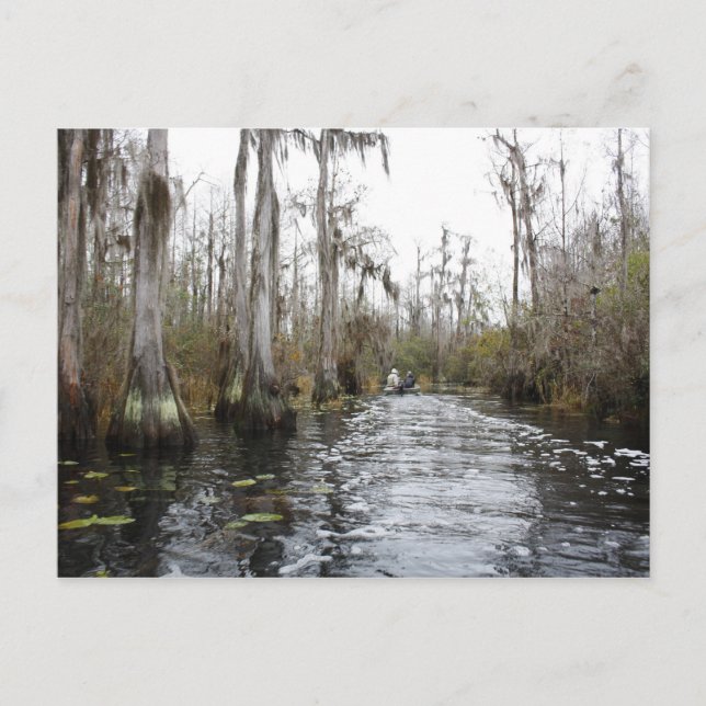 Okefenokee Swamp, Georgien Vykort (Framsida)