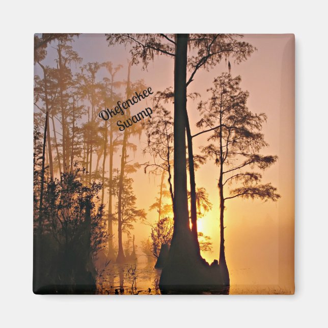 Okefenokee Swamp Magnet (Framsidan)