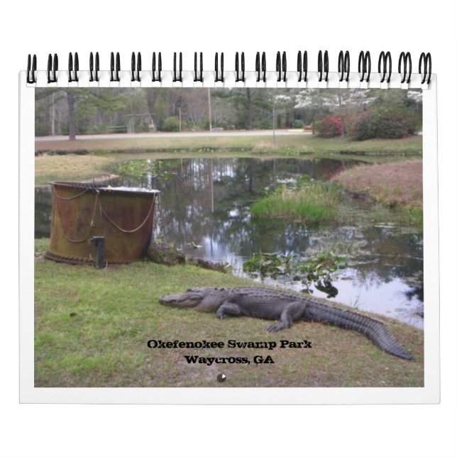 "OKEFENOKEE SWAMP PARK" KALENDER (Omslag)