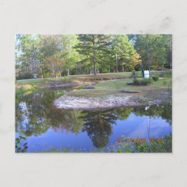 "OKEFENOKEE SWAMP PARK" VYKORT