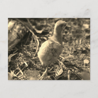 Okej, hej då! - vykort