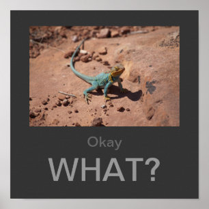 Okej, vad? Poster Coll Lizard