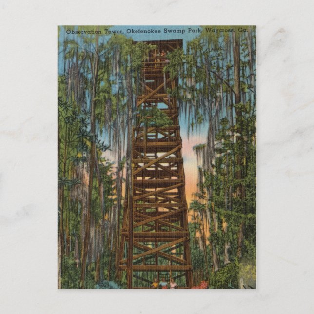 Okelenokee träskpark, Waycross, Georgia Vykort (Framsida)