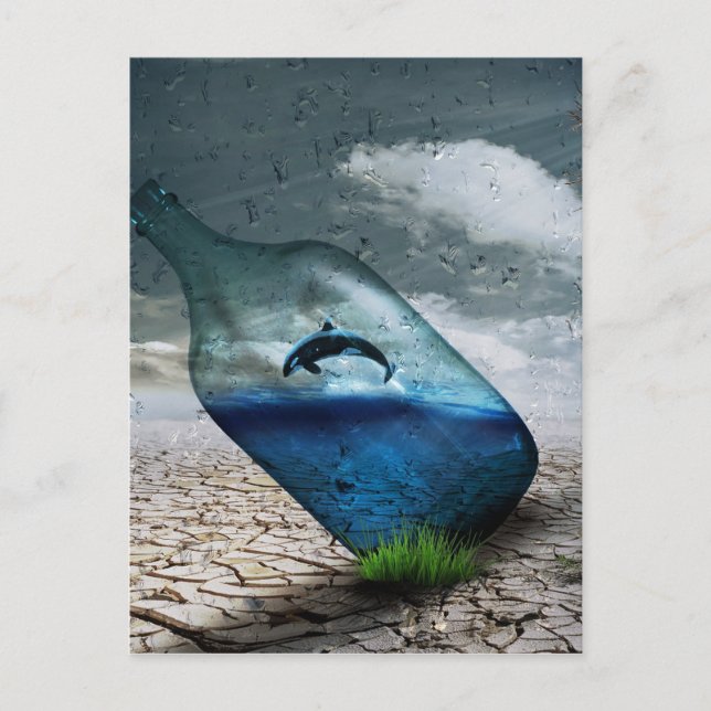 öken-749 vykort (Framsida)