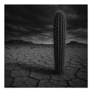 Öken - Fototryck