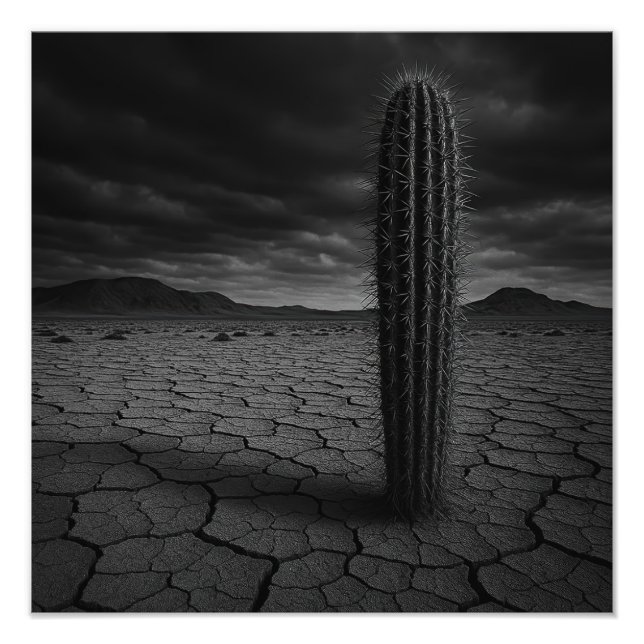 Öken - Fototryck (Framsidan)