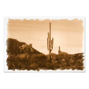 öken i sepia fototryck