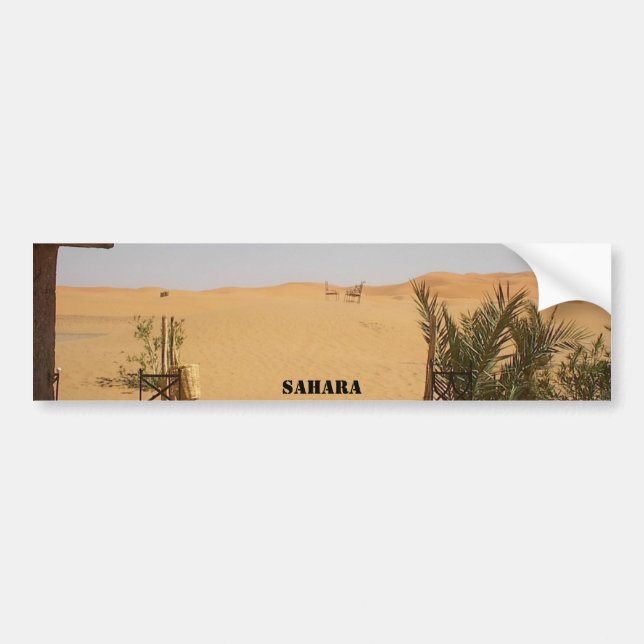 öken Sahara Bildekal (Framsidan)