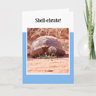 Öken Sköldpadda Vikbar Födelsedags Kort