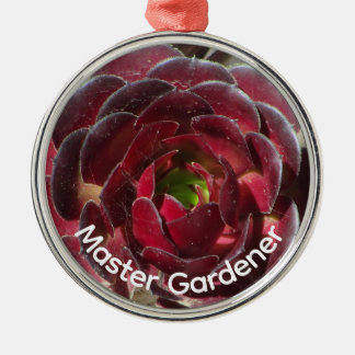 Öken Sukkulent Foto Master Gardener Jul Julgransprydnad Metall