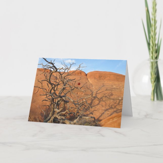 Öken Tannenbaum Helgkort (Framsida)