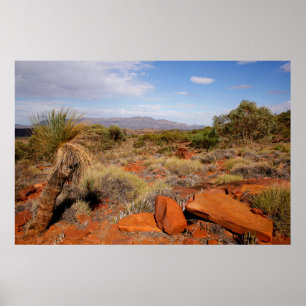 Ökenaffisch för australier Outback Poster