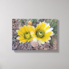 Ökenblommor Canvastryck