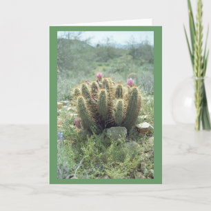 Ökenblommor Kaktus Notkort eller Lyckönskningskort Kort