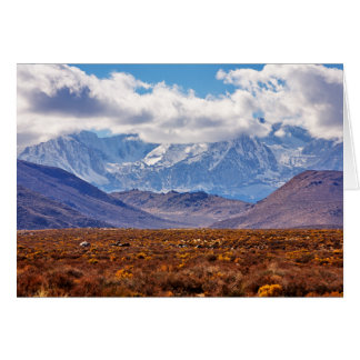 Ökeneftermiddag OBS Kort