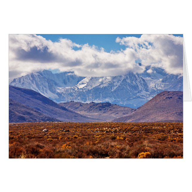 Ökeneftermiddag OBS Kort (Framsidan Horizontal)