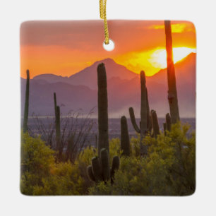 Ökenkaktus solnedgång, Arizona Julgransprydnad Keramik
