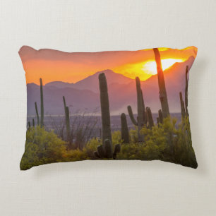 Ökenkaktus solnedgång, Arizona Prydnadskudde