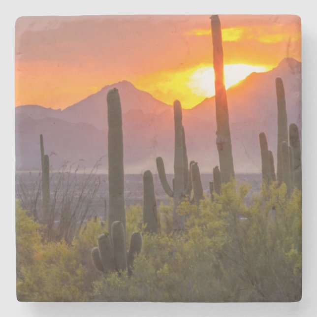 Ökenkaktus solnedgång, Arizona Underlägg Sten (Framsidan)
