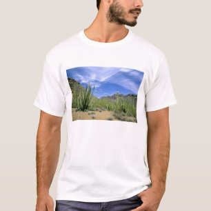 Ökenkaktus vid Organ Pipe National Monument, T-shirt
