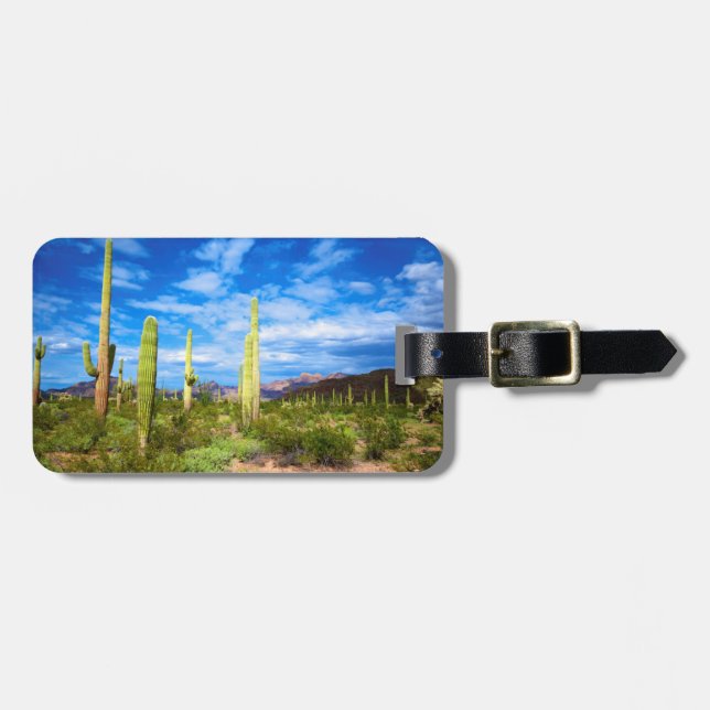 Ökenkaktuslandskap, Arizona Bagagebricka (Horisontell Framsida)